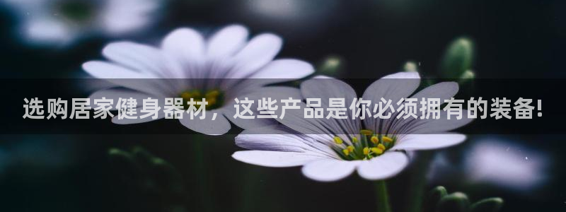 凯捷体育官方:选购居家健身器材,这些产品是你必须拥有的装备!