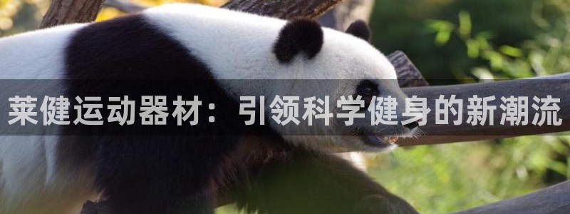 海南凯捷体育发展怎么样:莱健运动器材:引领科学健身的新潮流