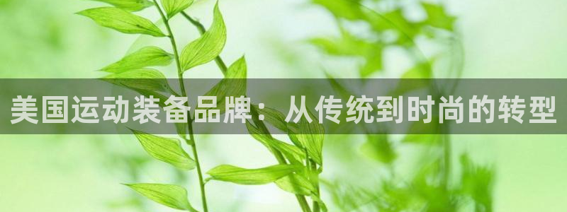 凯捷体育招商电话号码查询:美国运动装备品牌:从传统到时尚的转