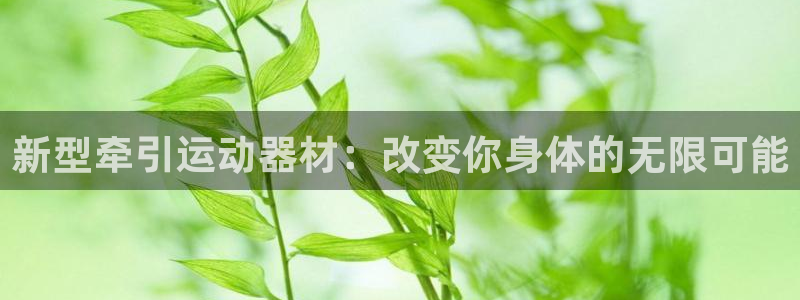 凯捷体育官网:新型牵引运动器材:改变你身体的无限可能