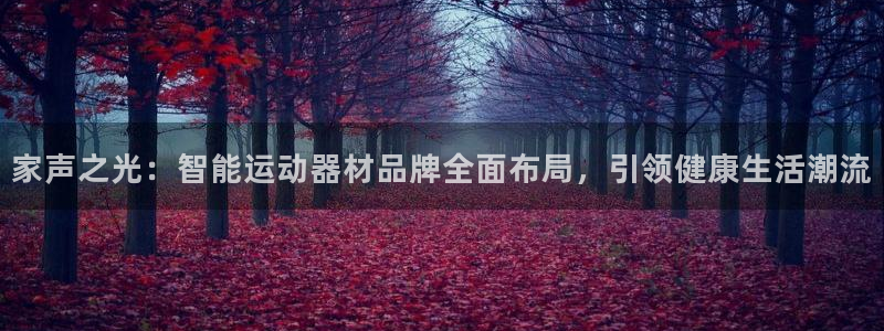 凯捷体育娱乐平台:家声之光:智能运动器材品牌全面布局,引领健