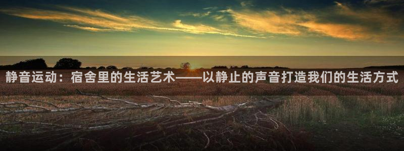 凯捷体育集团官网网址:静音运动:宿舍里的生活艺术——以静止的
