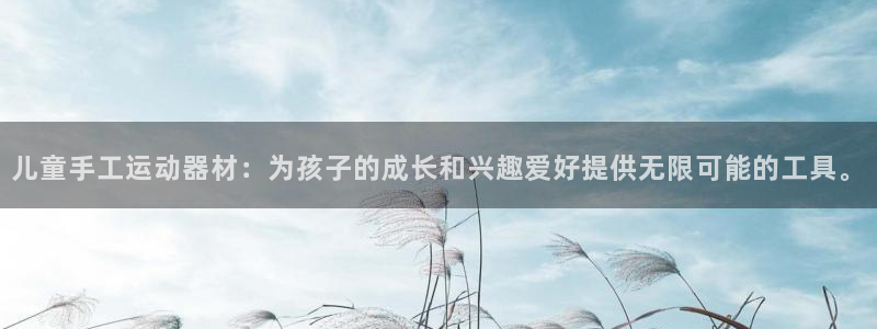意昂平台体育:儿童手工运动器材:为孩子的成长和兴趣爱好提供无