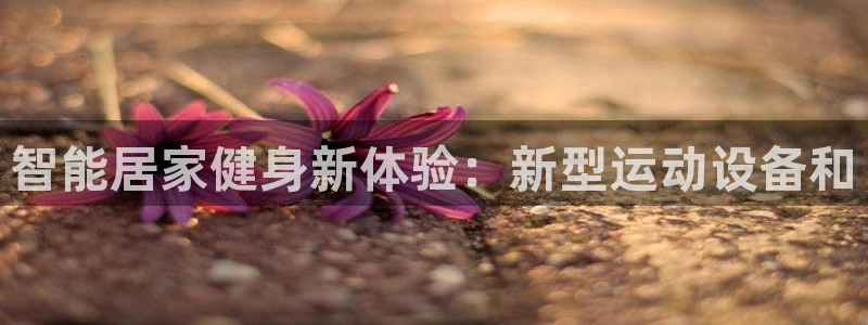 凯捷体育招商电话地址:智能居家健身新体验:新型运动设备和