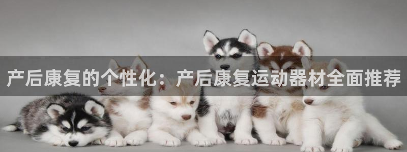 凯捷体育集团:产后康复的个性化:产后康复运动器材全面推荐
