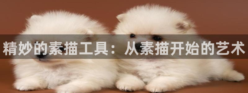 凯捷体育平台APP:精妙的素描工具:从素描开始的艺术