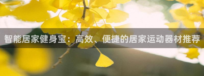 凯捷体育娱乐40996:智能居家健身宝:高效、便捷的居家运动