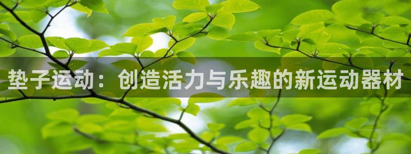 凯捷体育娱乐40996:垫子运动:创造活力与乐趣的新运动器材