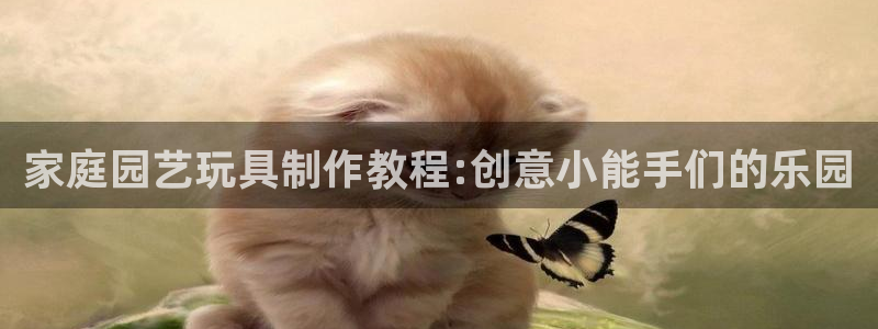 凯捷体育平台:家庭园艺玩具制作教程:创意小能手们的乐园