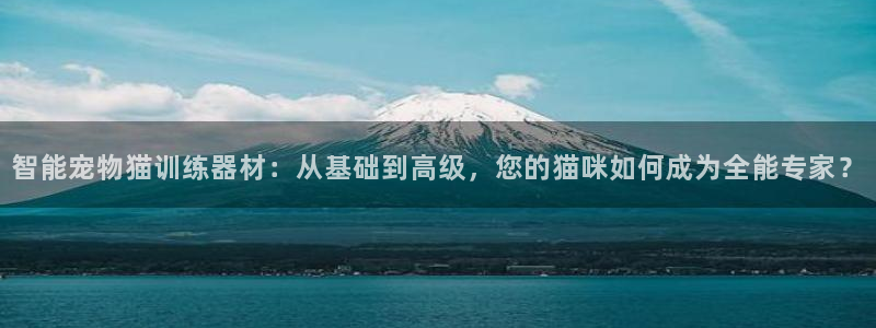 凯捷体育平台注册:智能宠物猫训练器材:从基础到高级,您的猫咪